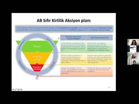 Embedded thumbnail for Avrupa Yeşil Düzeni ve Avrupa İçin Sıfır Kirlilik Hedefi